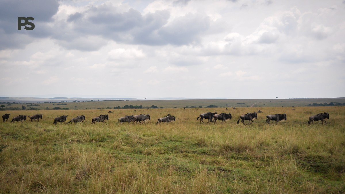 Romantic Sundowner Safari Kenya: Best Spots for a Toast - photo 2