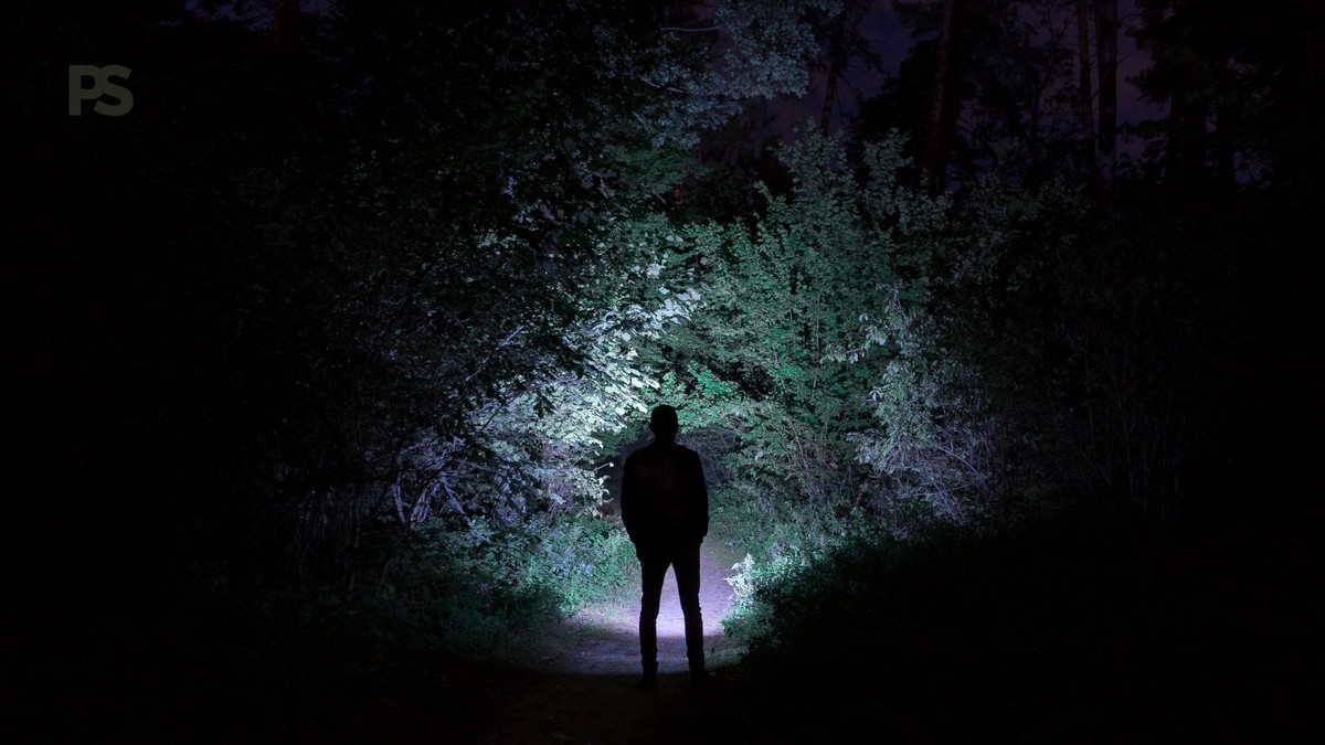 Safari Camp Safety at Night: What Really Happens