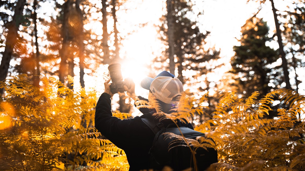 Duração ideal de safari para fotógrafos no Quênia - photo 2