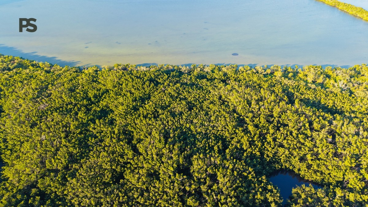 Shimba Hills Safari Guide: 1-Day Plan and Costs -- Photo by Chris The Island on Pexels