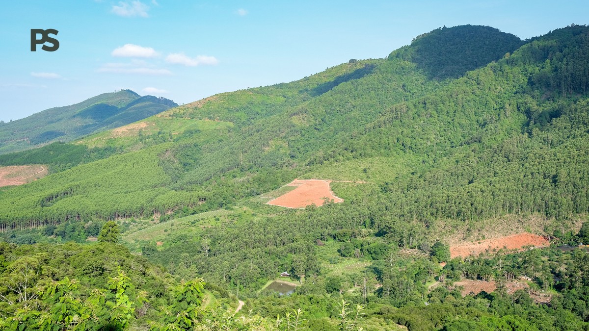 Shimba Hills Safari Guide: 1-Day Plan and Costs - photo 2