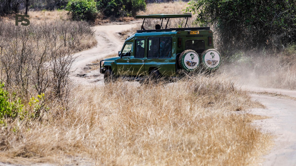 Small Group Photography Safari Kenya: Vehicle Size Guide - photo 1
