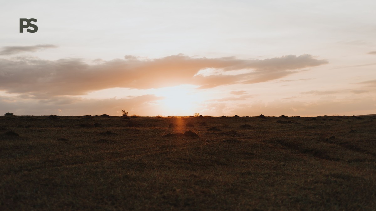 Frasi Swahili per il Safari: Guida per Italiani - photo 1
