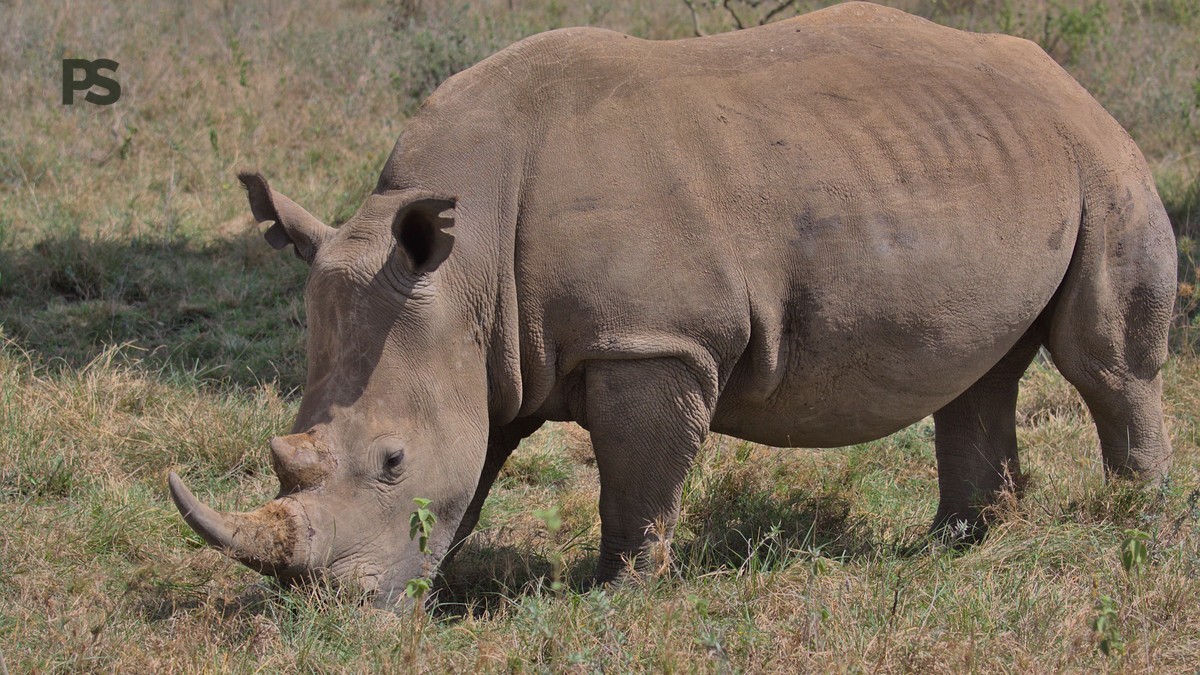 Weekend Safari Trip From Nairobi: Best 2-Day Escapes