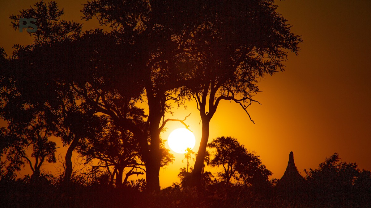 What Does Safari Vehicle Insurance Cover in Kenya? - photo 1