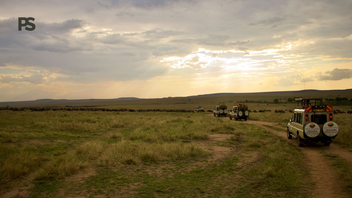 Why Is a Kenya Safari So Expensive? Real Cost Breakdown - photo 2