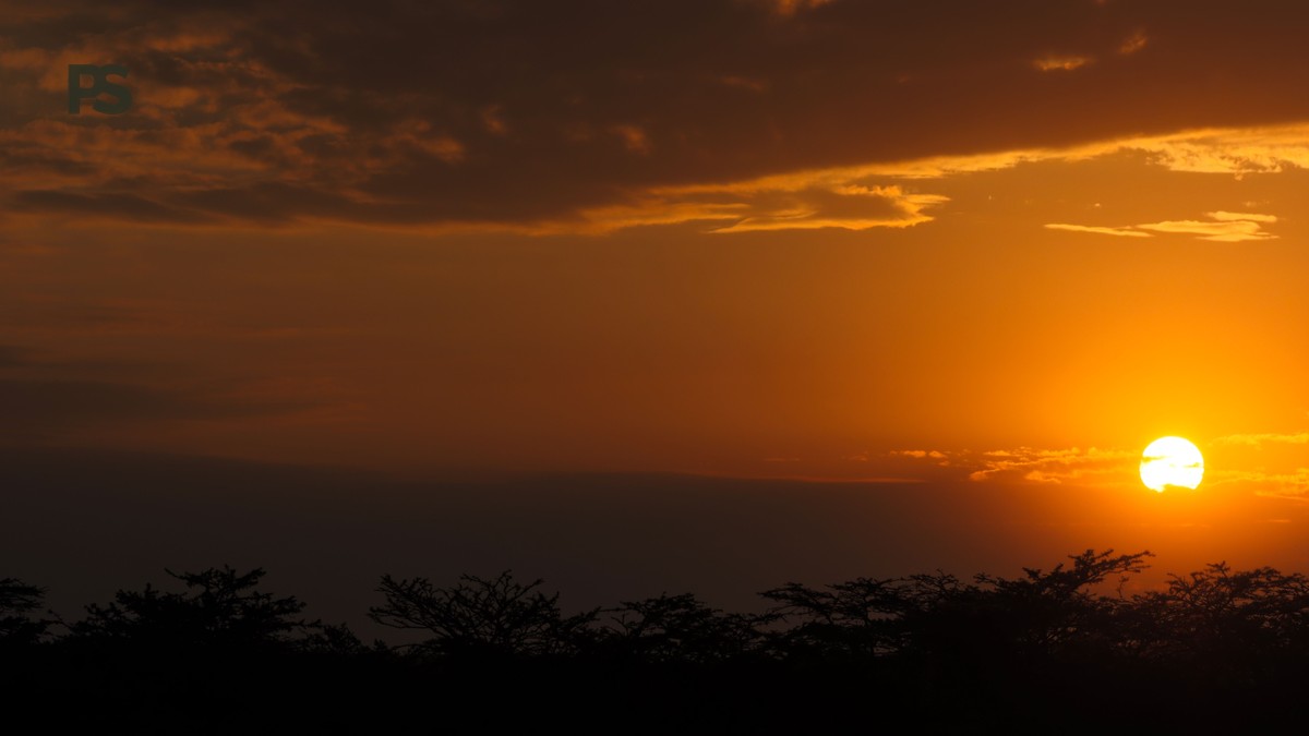 Zanzibar Spice Farm Tour Excursion: 3-Hour Itinerary - photo 1