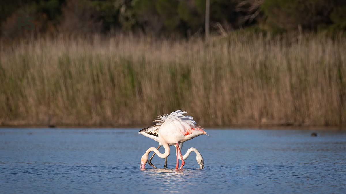Can Children Visit Lake Nakuru: Safe Safari Tips -- Photo by Jose Vargues on Pexels