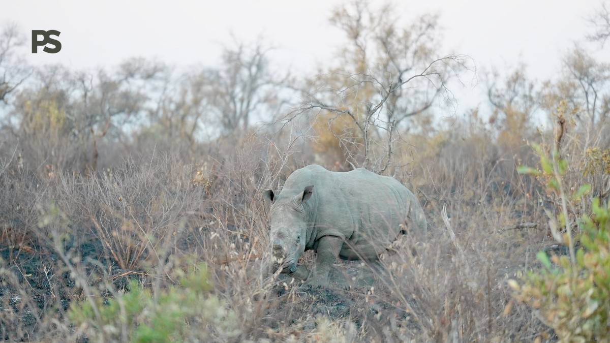 Can Children Visit Lake Nakuru: Safe Safari Tips - photo 1
