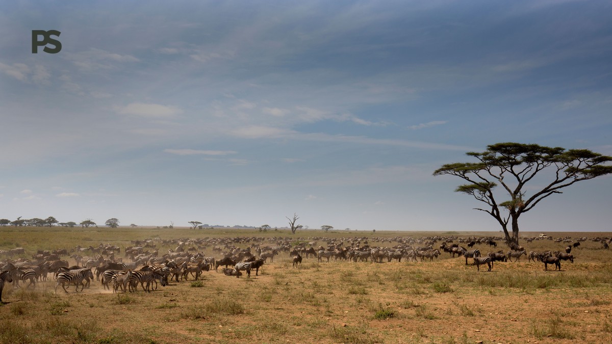 Can Children Visit Lake Nakuru: Safe Safari Tips - photo 2
