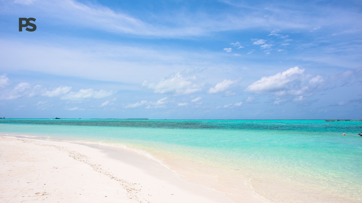 Diani Beach Kitesurfing Lessons: $130 to $720 - photo 2