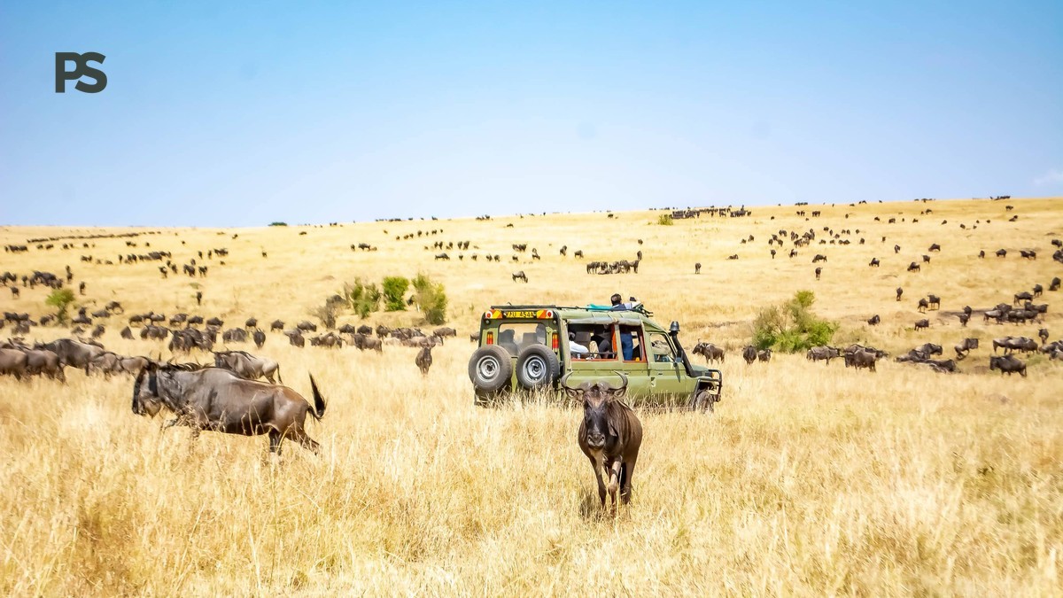 German-Speaking Guides for Your Kenya Safari Trip - photo 2