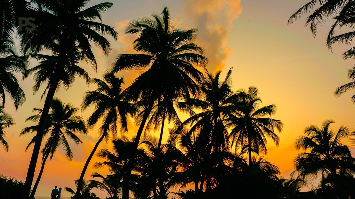 Planning a Halal-Friendly Kenya Honeymoon Safari -- Photo by Asad Photo Maldives on Pexels