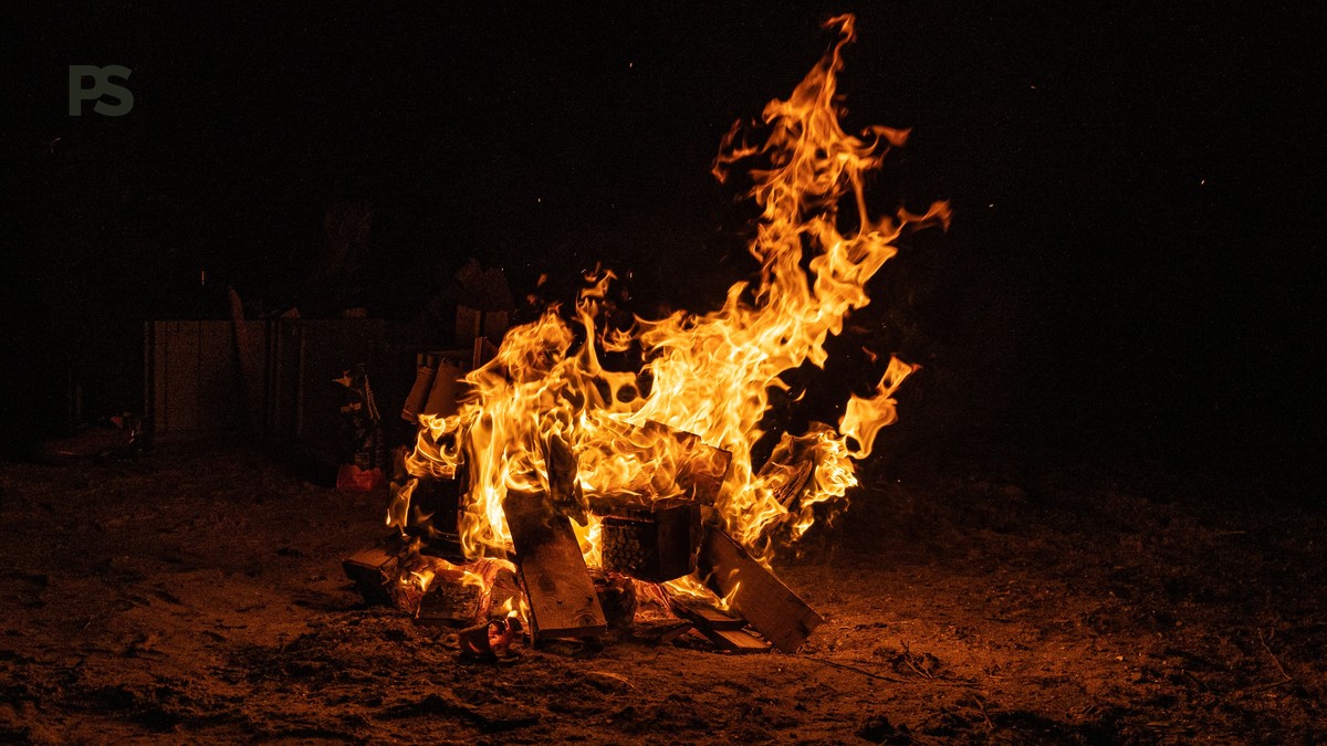 Bengali-Speaking Travelers' 7-Night Kenya Safari Planner - photo 1