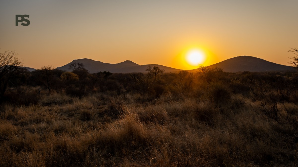 Kenya Safari Planning Guide French Speakers: 7 Steps - photo 1