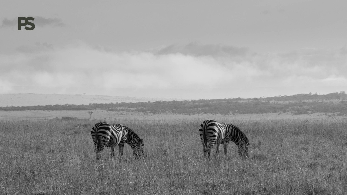 Lake Baringo or Bogoria: Which Rift Valley Lake to Pick - photo 2