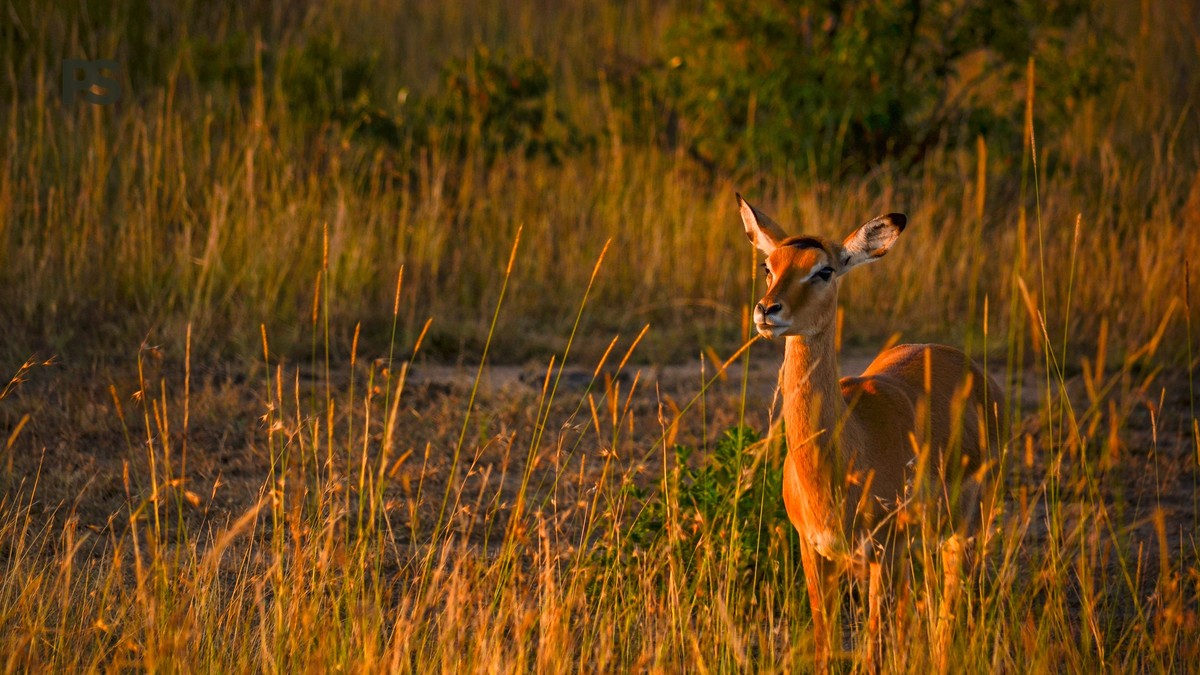 Naivasha or Elementaita: Pick Your Rift Valley Lake - photo 1