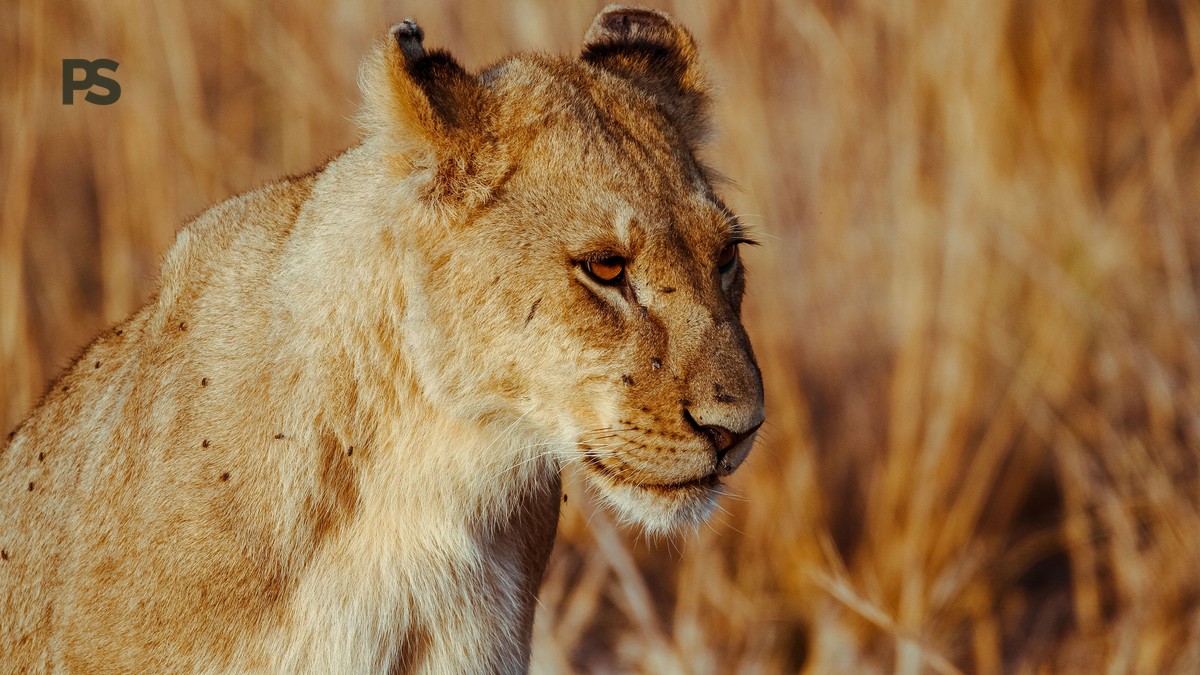 Is Lake Naivasha Safe for Children: 7 Rules for a Safe Visit - photo 1