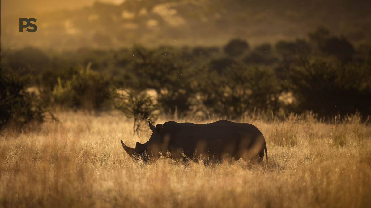 Lake Naivasha vs Lake Elementaita: 5 Safari Tests - photo 1
