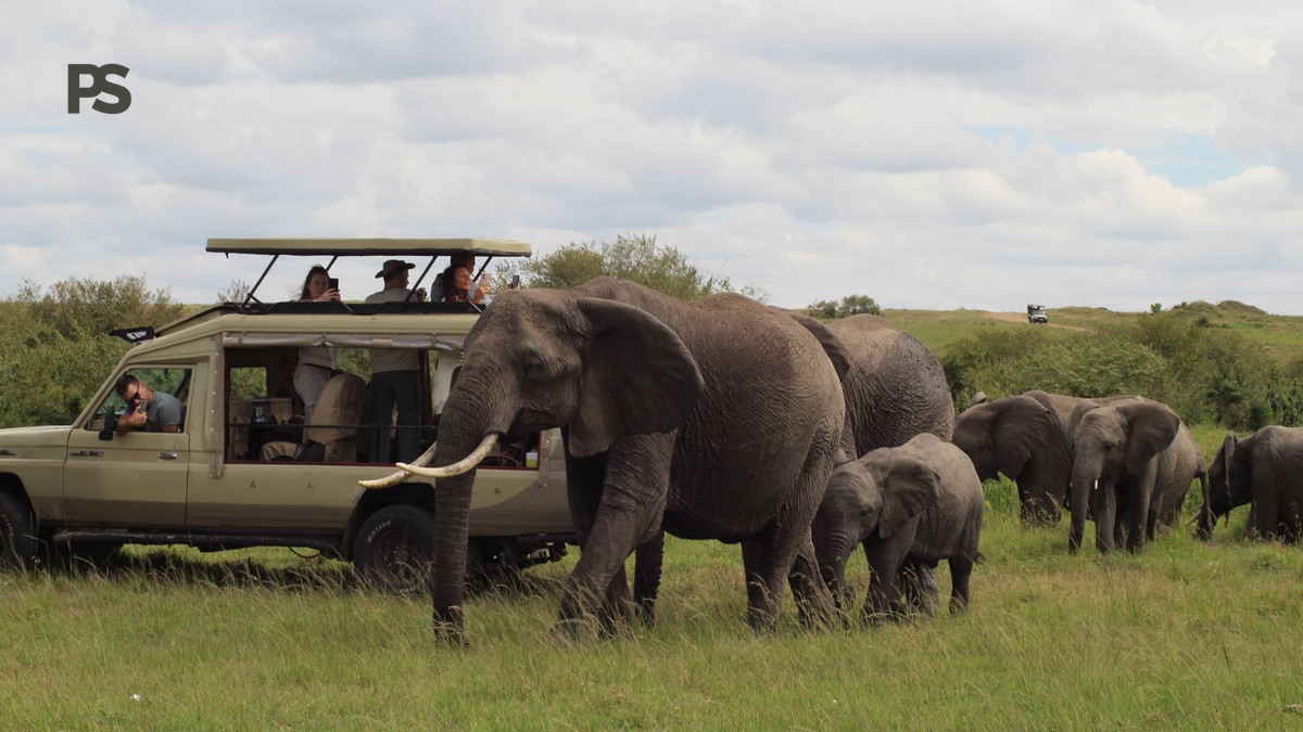 Lake Naivasha vs Lake Elementaita: 5 Safari Tests - photo 2