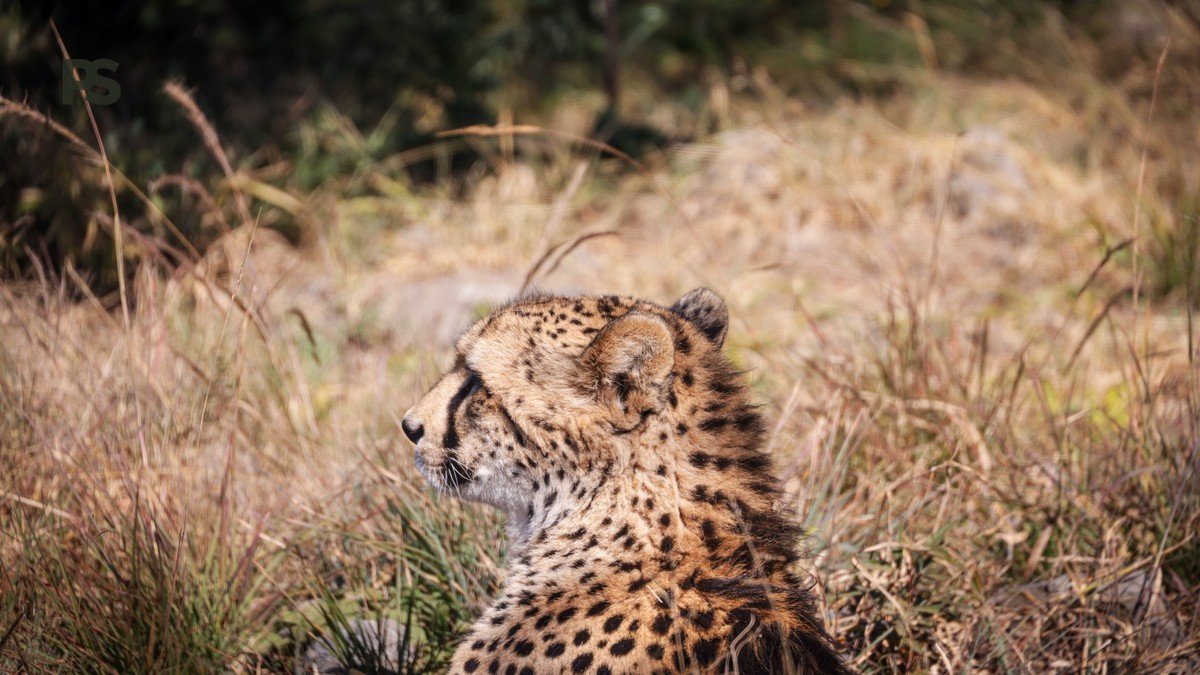 How long stay Lake Naivasha: 2 Days for Highlights -- Photo by Magda Ehlers on Pexels