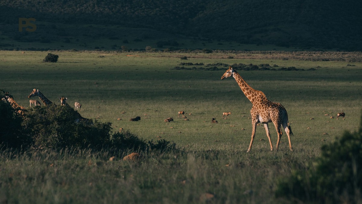 How long stay Lake Naivasha: 2 Days for Highlights - photo 1