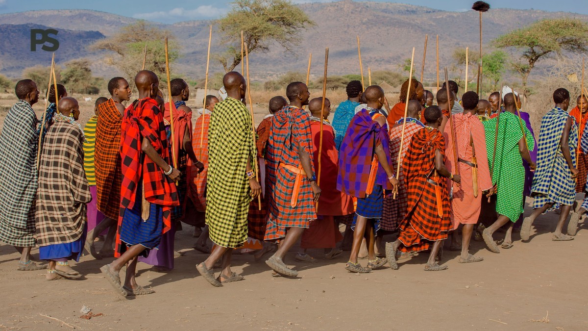 maasai mara does it have signal: What to Expect -- Photo by Ramy Photographer on Pexels