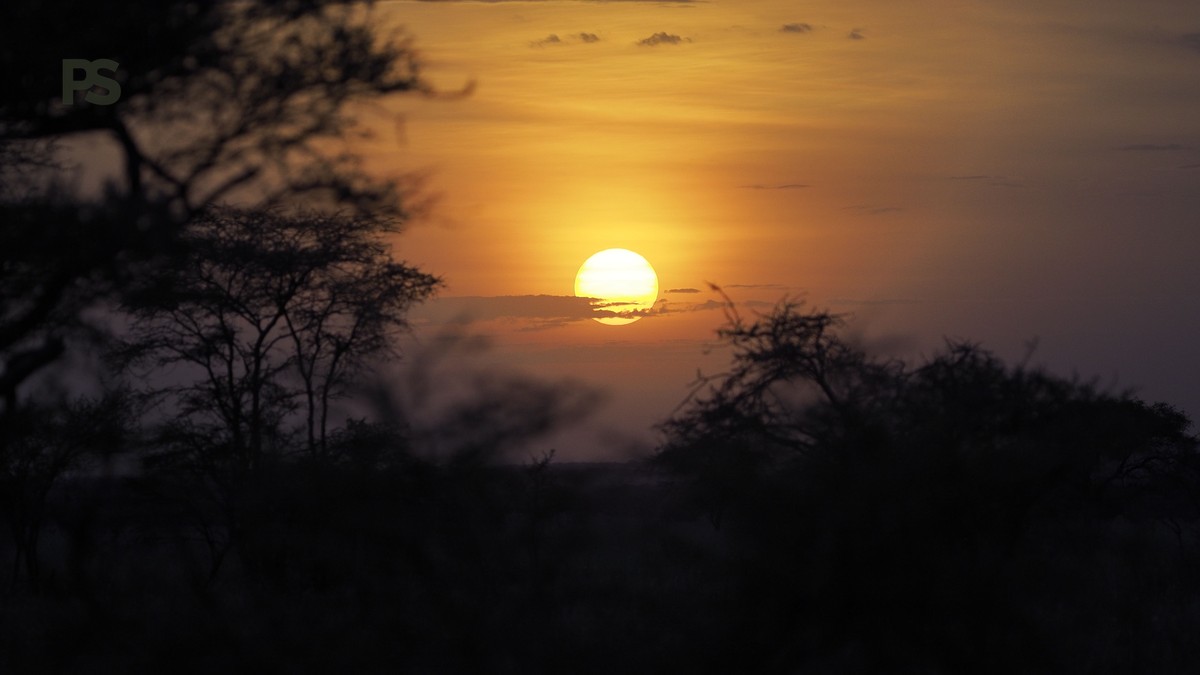 Meru National Park Quiet Safari: 3-Day Plan - photo 1