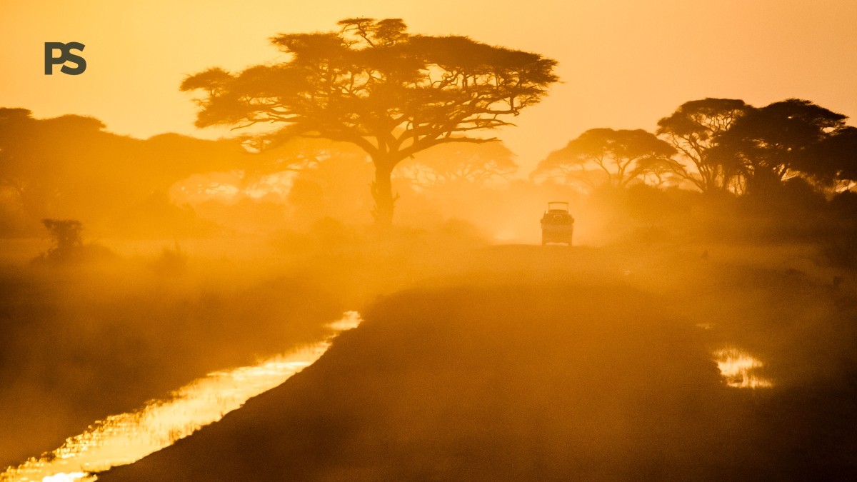 What Is a Slow Safari: A Calmer Way to See Kenya - photo 1